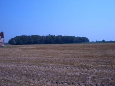 Bosco Planiziale di Basalghelle