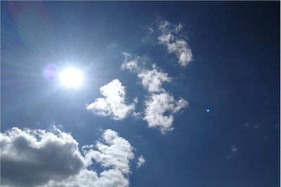 sole