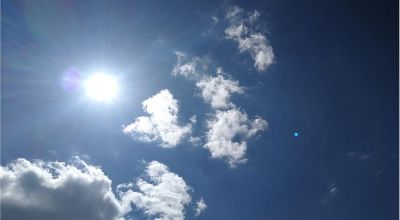 sole