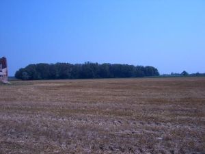 Bosco Planiziale di Basalghelle